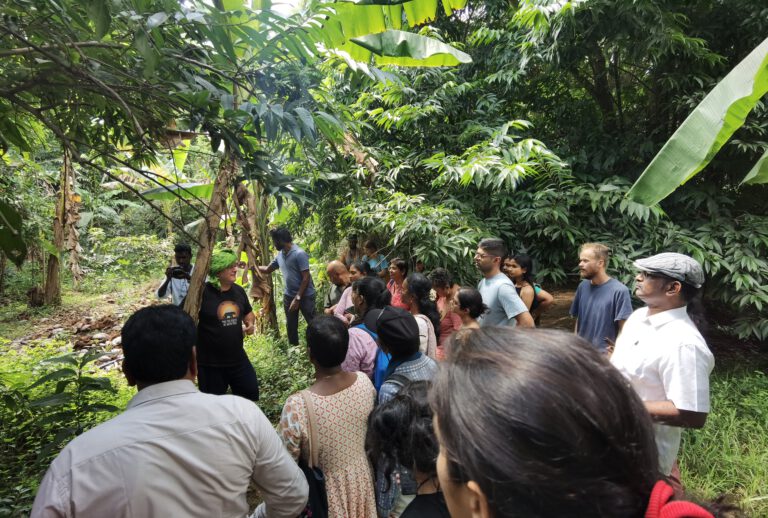 Wurzeln – Essbares