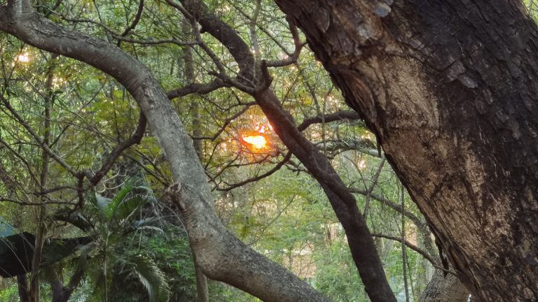 Sonnenuntergang Auroville