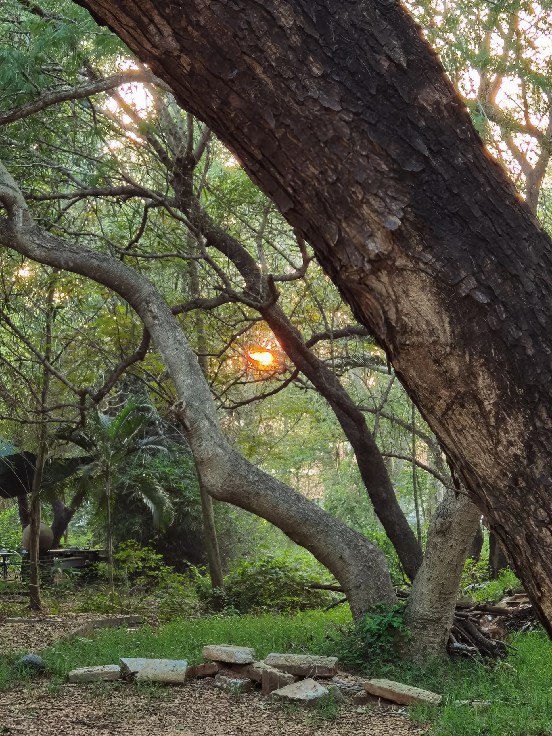 Sonnenuntergang Auroville