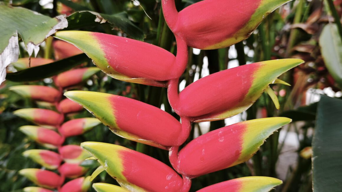 Musik – Nāda-Brahman