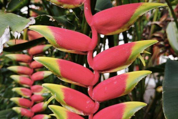 Musik – Nāda-Brahman