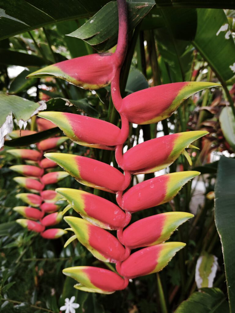 Musik – Nāda-Brahman