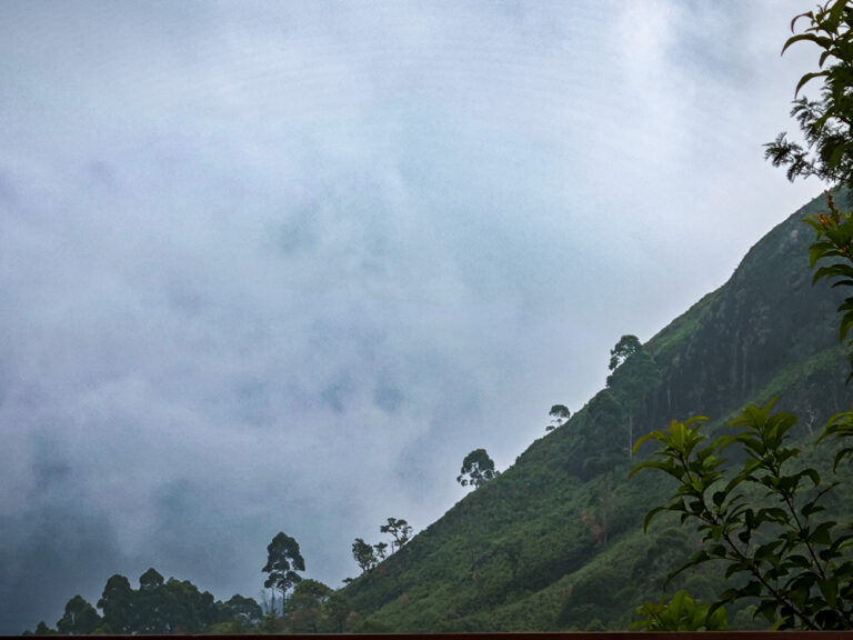 दिव्यता और शून्यता