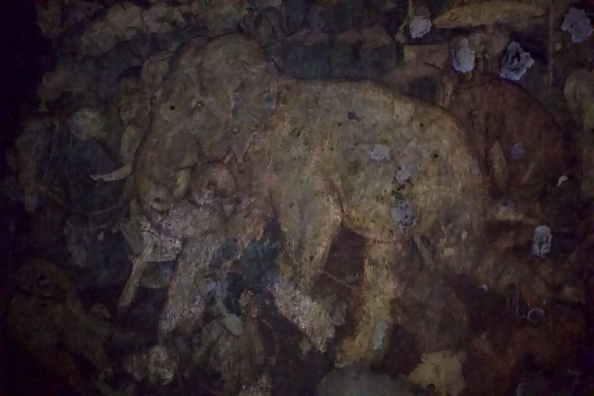 Ajanta Caves