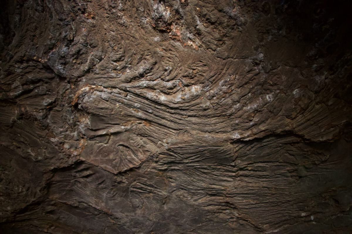 Ajanta Caves