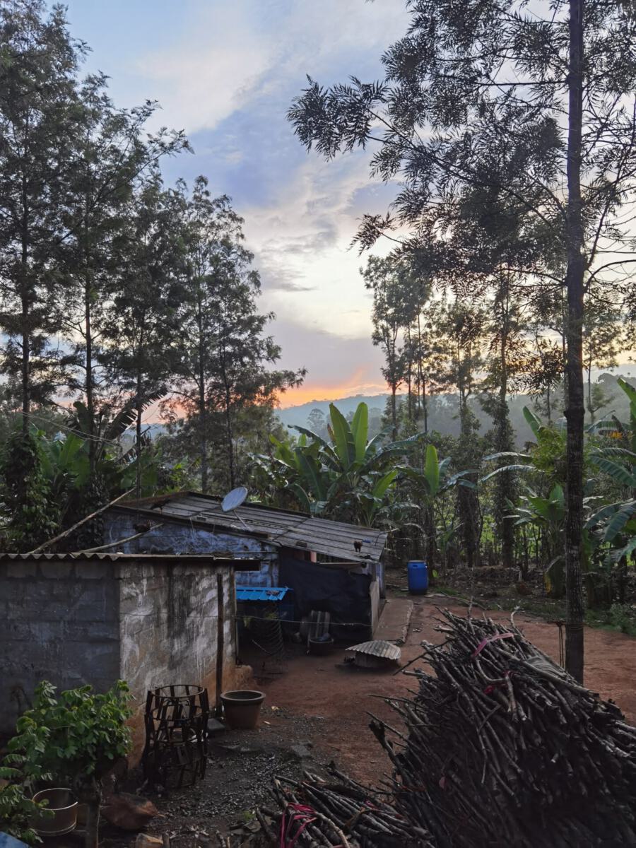 Kolli Hills