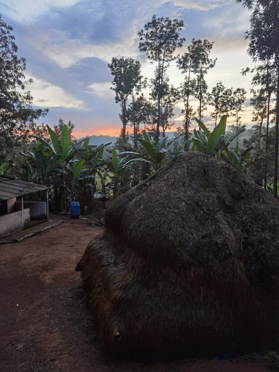 Kolli Hills