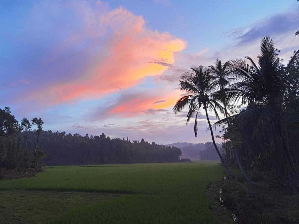 Kolli Hills
