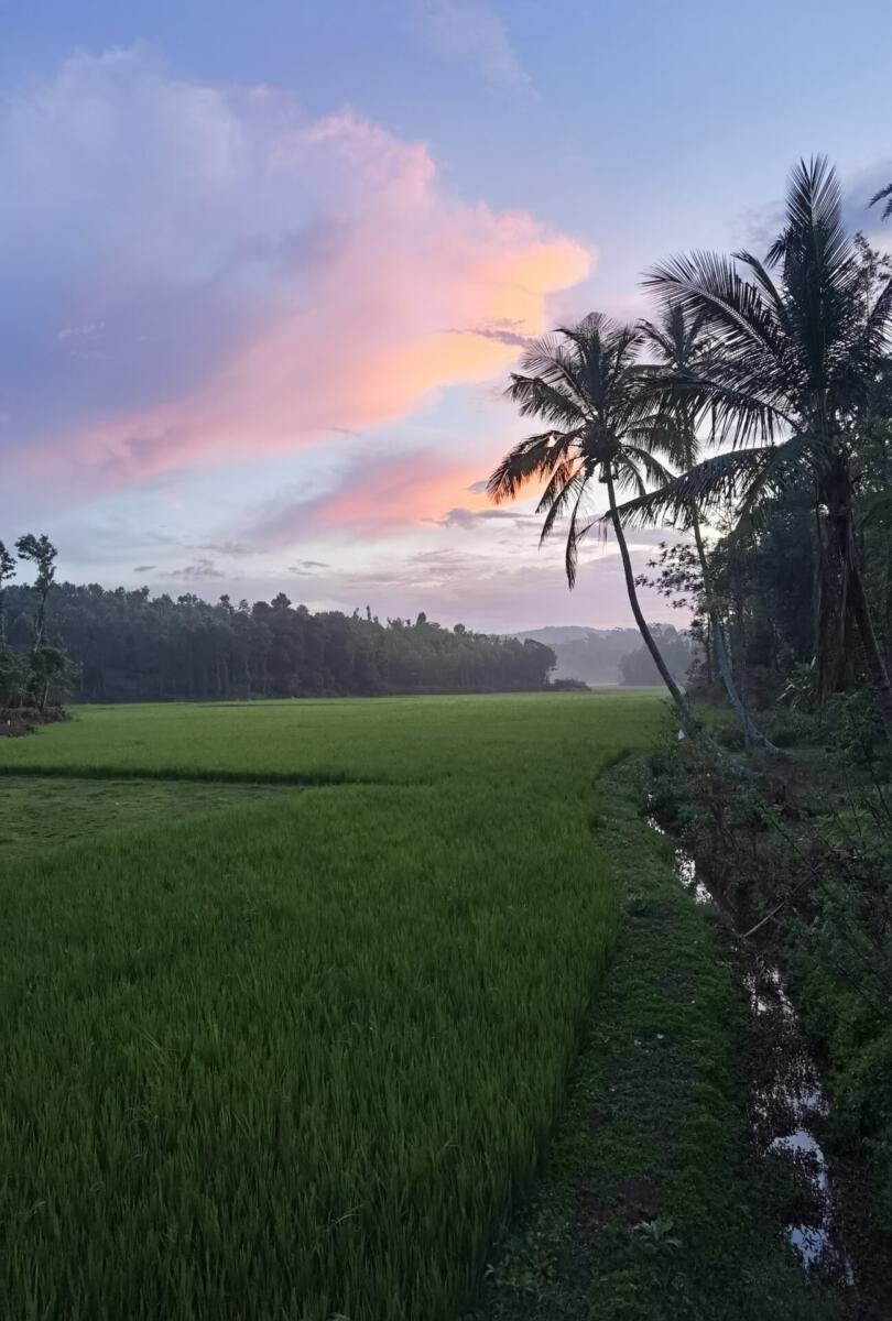 Kolli Hills
