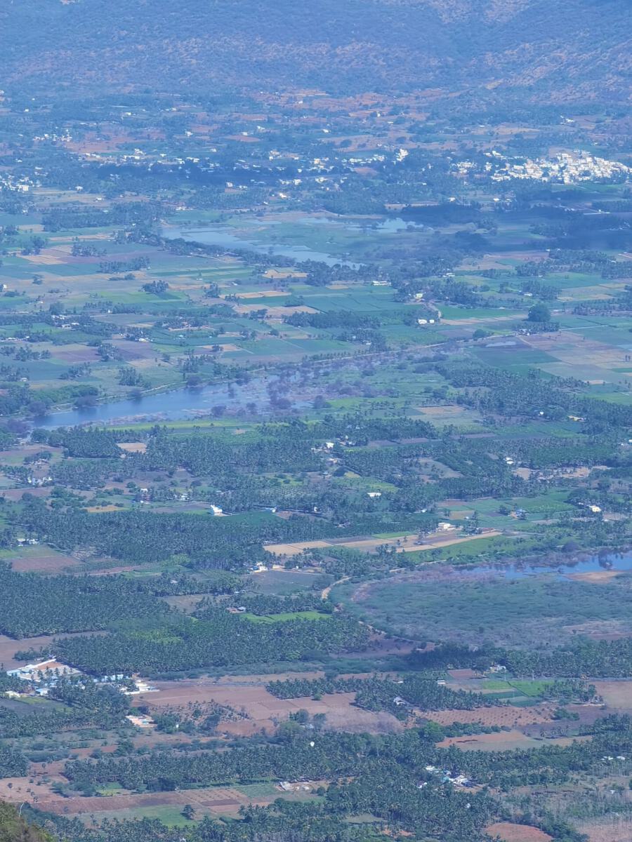 Kolli Hills