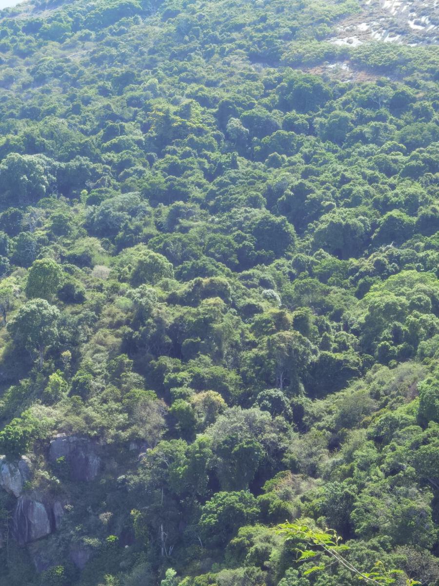 Kolli Hills