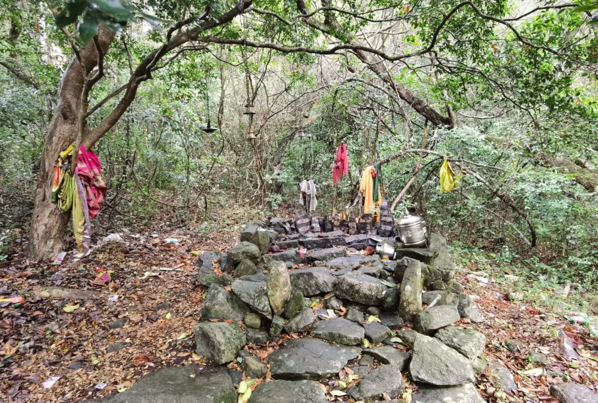 Kolli Hills