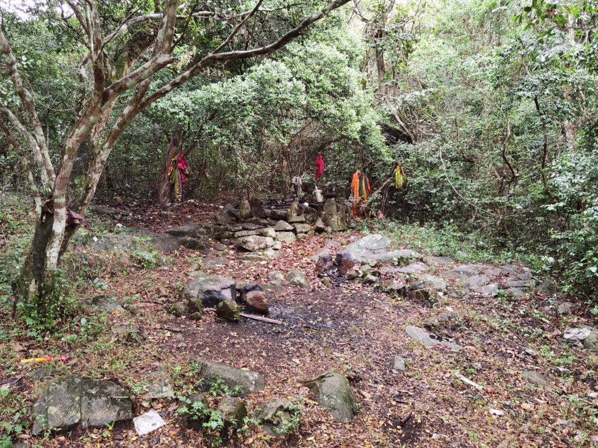 Kolli Hills