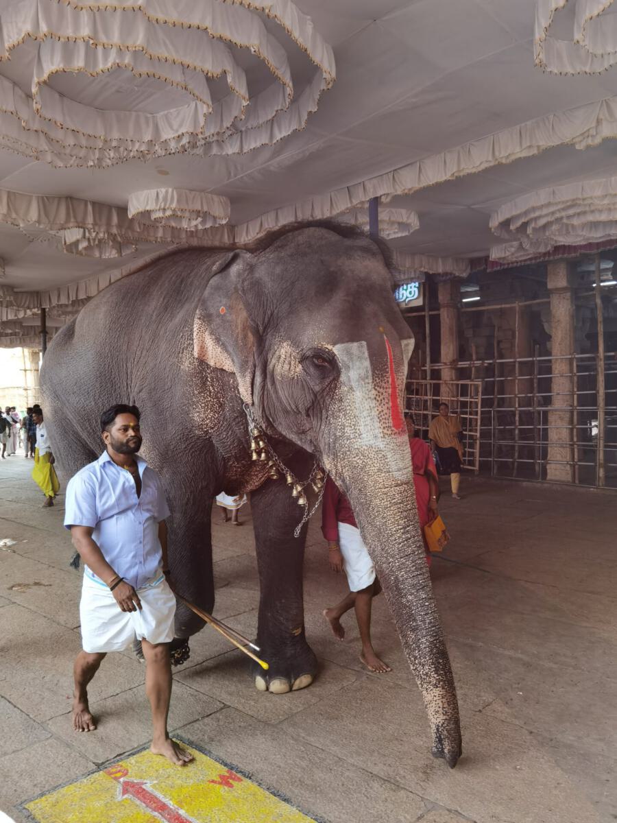 Tiruchirappalli