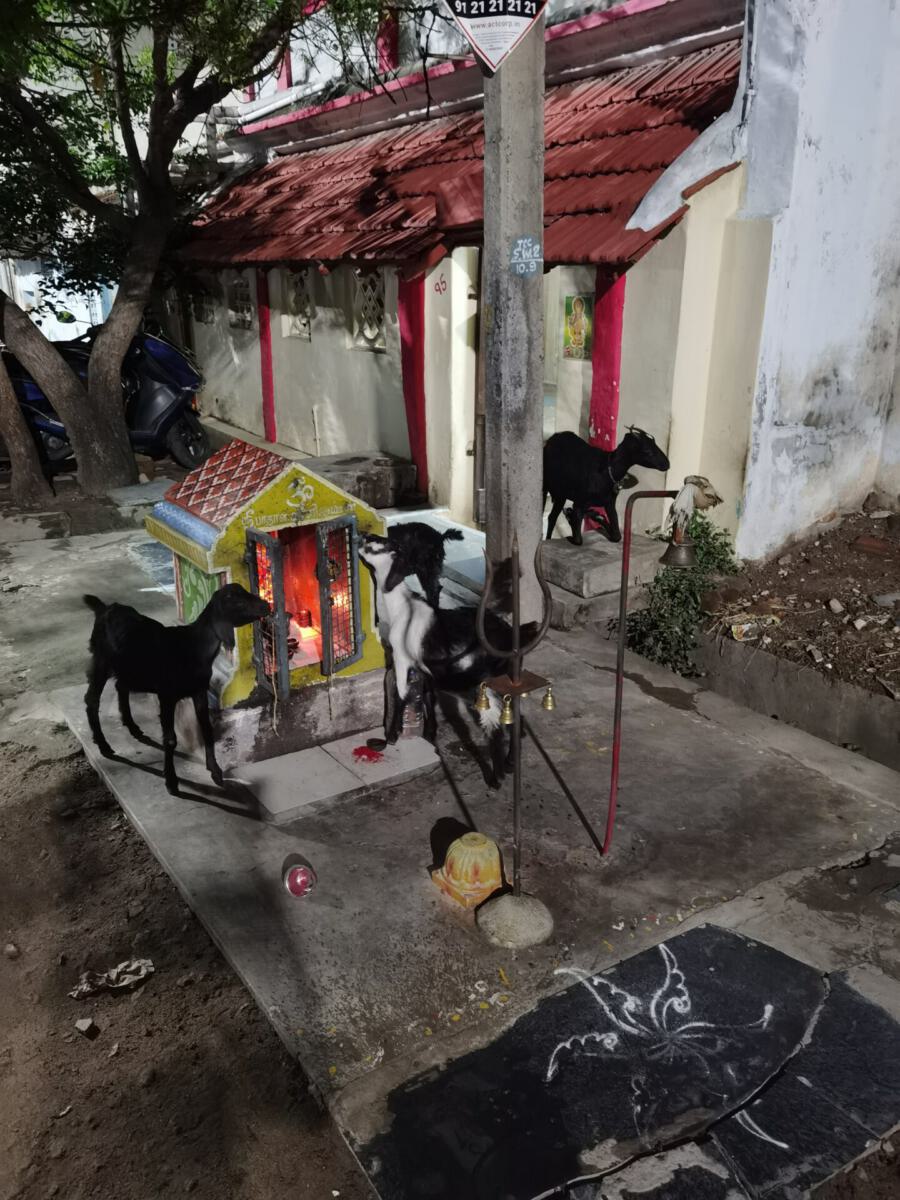Tiruchirappalli