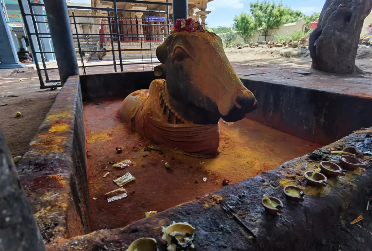 Vakrakali