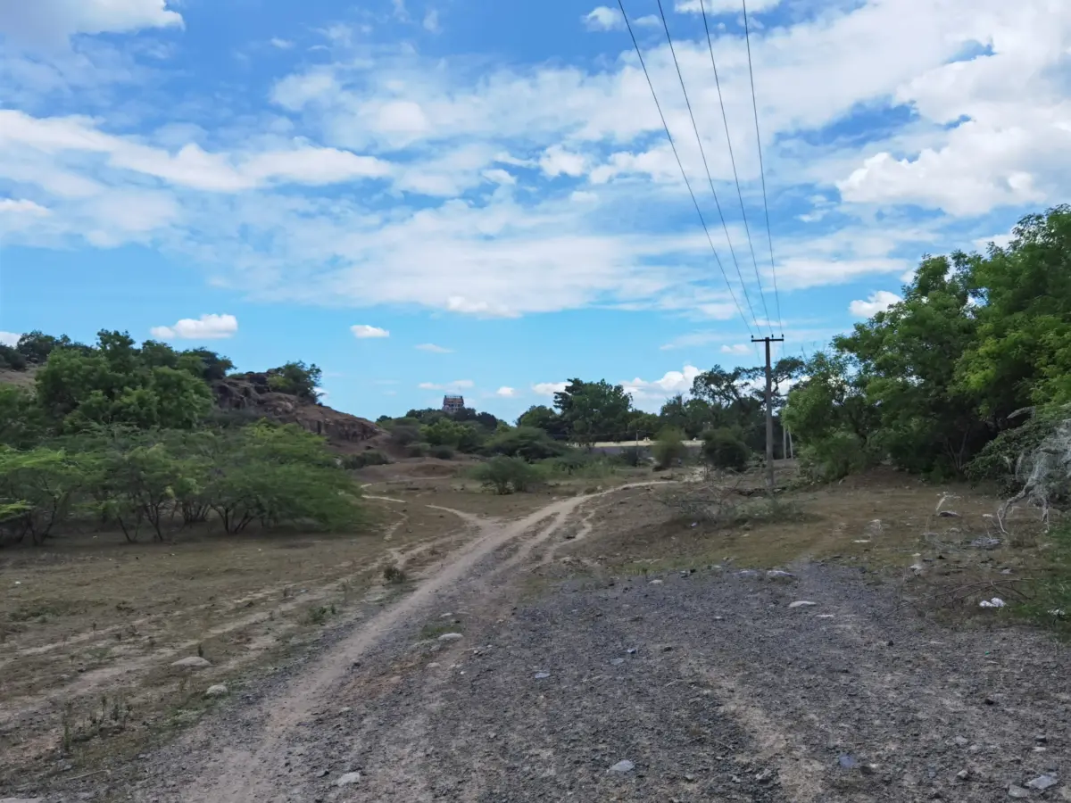 Vakrakali