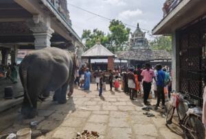 Trichy - Amma Mandapam