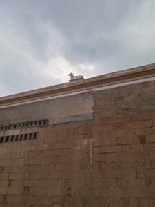 Trichy - Sri Jambukeswara Temple